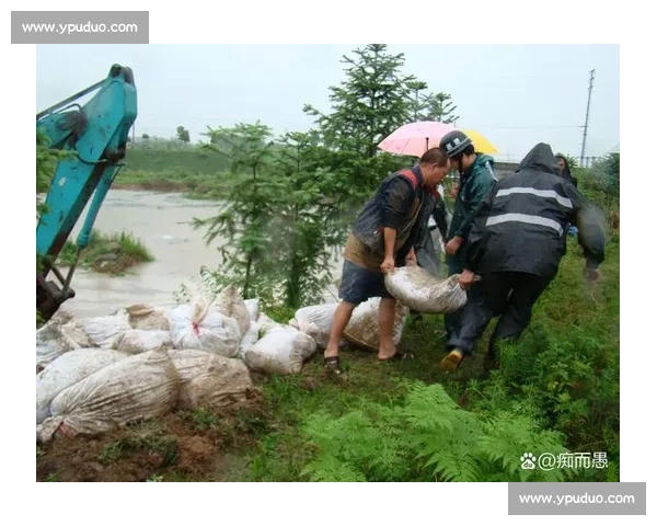 听风就是雨！记者一语引国安解散谣，孤军奋战盼支持
